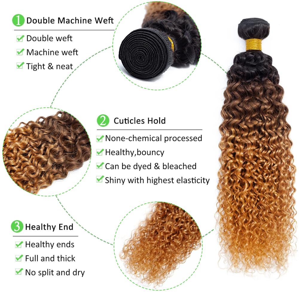 LadrXadr Dark Brown Human Hair Bundles 1b/4/30 Water Wave Bundles #30 Human Hair Bundles 18 20 22 inch Ocean Wave Bundle for Women
