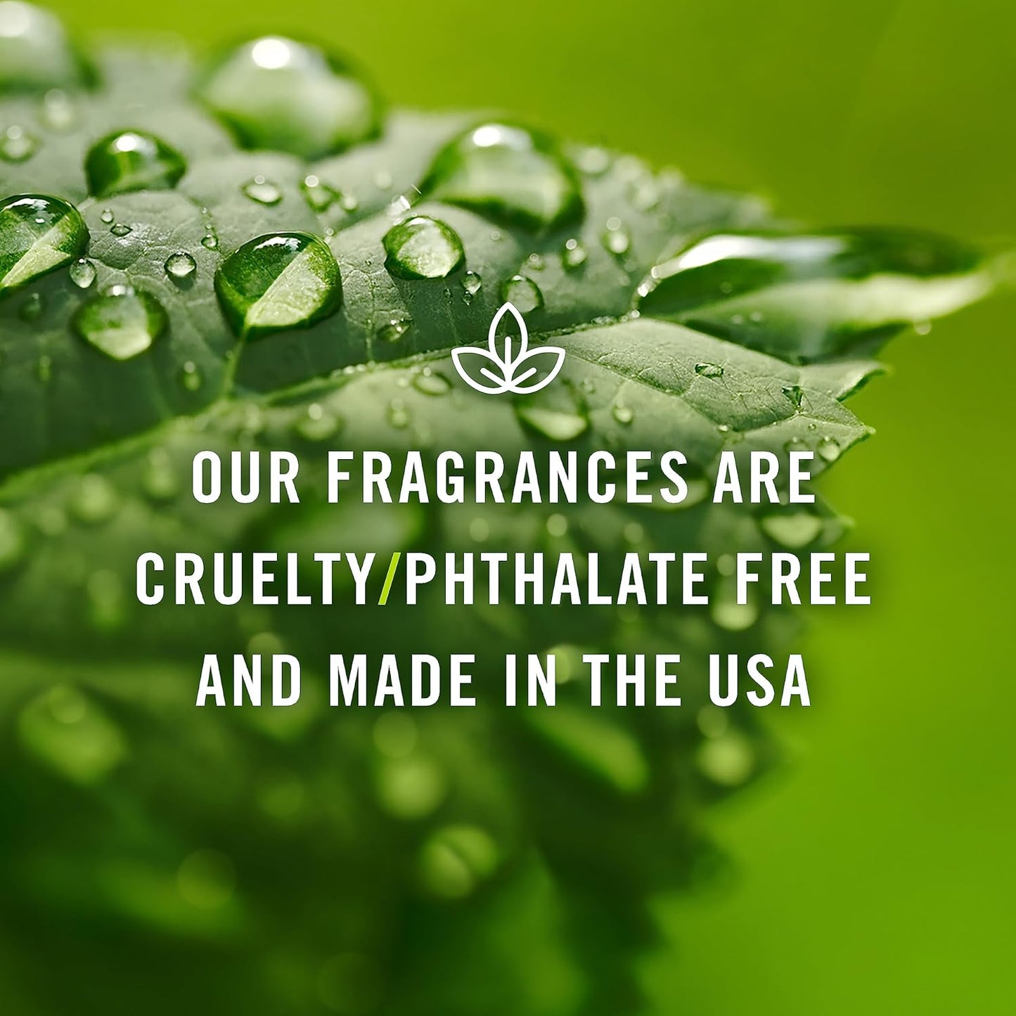 P&J Trading Fragrance Oil | Jasmine Oil 30ml - Candle Scents for Candle Making, Freshie Scents, Soap Making Supplies, Diffuser Oil Scents