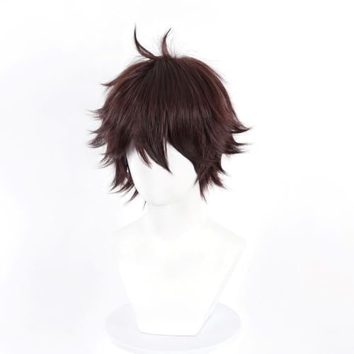 Liamiona Cosplay Short Wig Heat Resistant Synthetic Hair Anime Wig Halloween Carnival Party Wigs