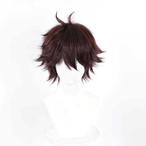 Liamiona Cosplay Short Wig Heat Resistant Synthetic Hair Anime Wig Halloween Carnival Party Wigs