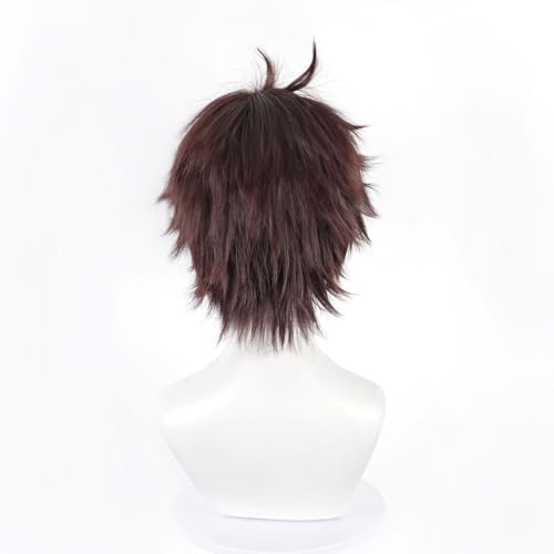 Liamiona Cosplay Short Wig Heat Resistant Synthetic Hair Anime Wig Halloween Carnival Party Wigs