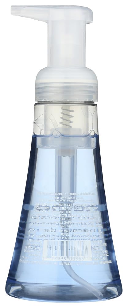 Method Hand Wash Foam 10 Oz Sea Minerals