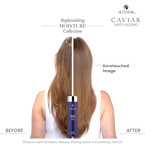 Alterna Haircare CAVIAR Anti Aging Replenishing Moisture Shampoo, 8.5 Fl Oz (Pack of 1)