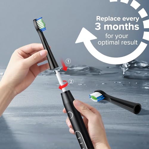 Harobey Replacement Toothbrush Heads 10 Pack Compatible with Bitvae Daily D2 Rechargeable Toothbrush, for D2 Toothbrush Heads Refills, Black
