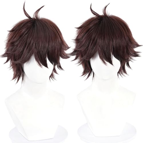 Liamiona Cosplay Short Wig Heat Resistant Synthetic Hair Anime Wig Halloween Carnival Party Wigs