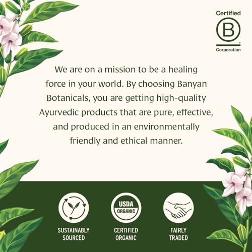 Banyan Botanicals Mint Daily Swish – Organic Ayurvedic Pulling Oil with Coconut Oil – Mouthwash for Fresh Breath and Sparkling Oral Health* – 24 oz – Non GMO Sustainably Sourced Vegan