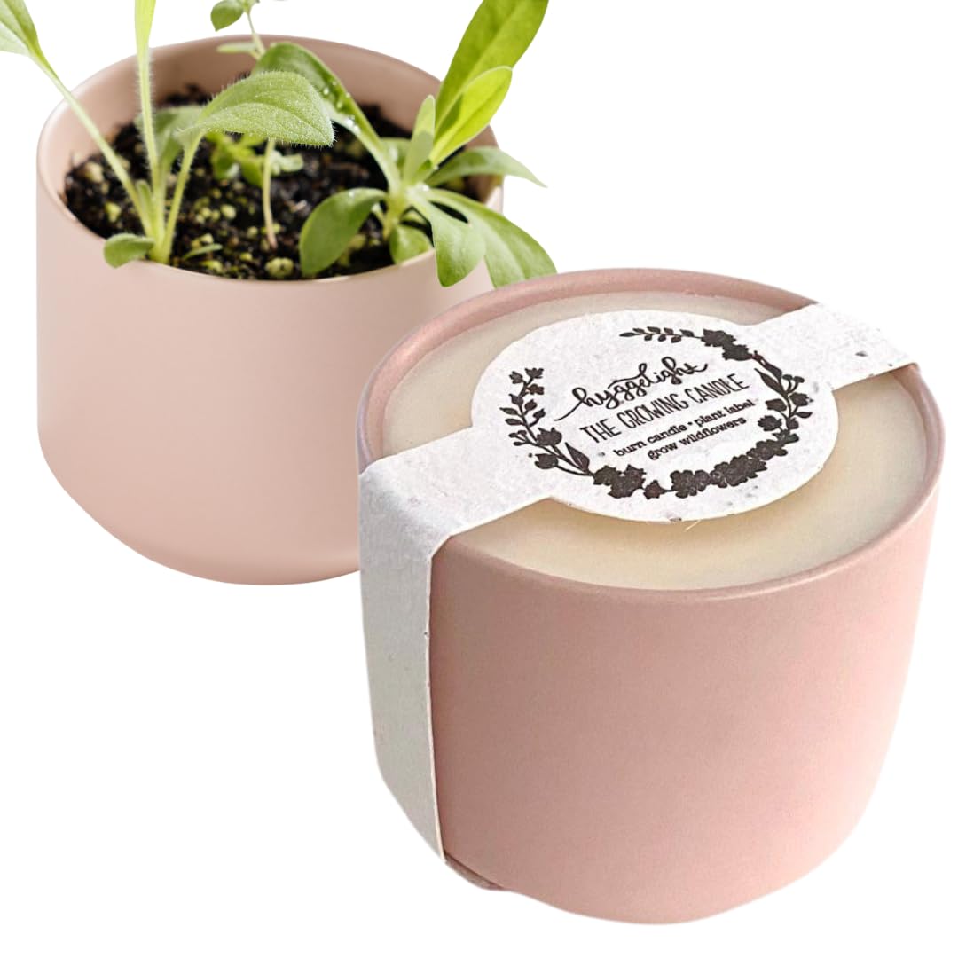 The Growing Candle, from Flame to Flower, Chai Scented, Non-Toxic, 100% Soy Wax, Indoor Wildflower Garden, Aromatherapy Gift for Women, 8oz, 45 Hr Burn Time, Adelyn