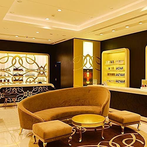 CAMELIA GARDEN 40mL Perfume for Men and Women, with Fresh Fruits, Subtle Florals, Deep Wood, Leather and Oud by Al Maghribi Dubai