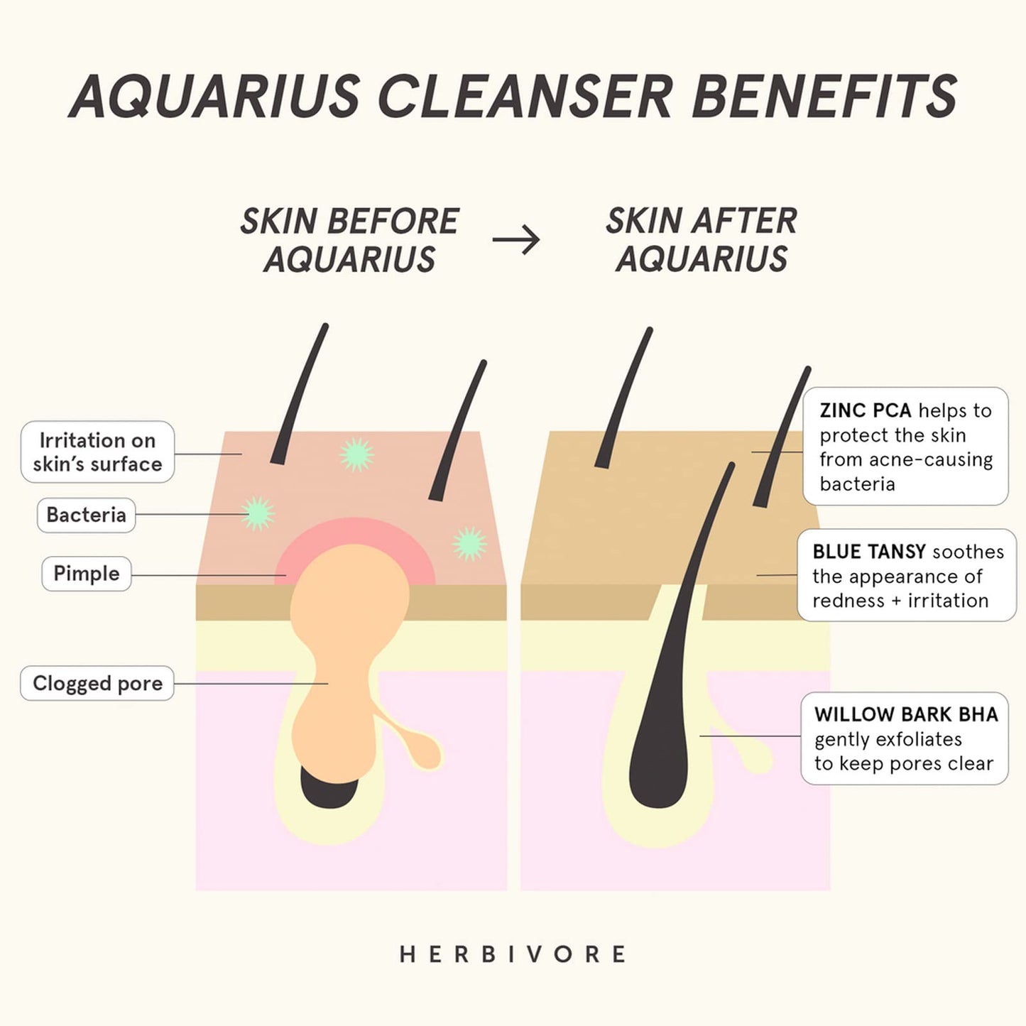 HERBIVORE Blemish Buster - Skin Clarity Regimen