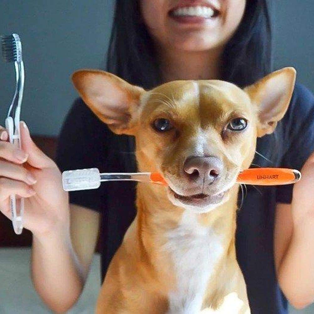 LINHART Extra Soft Toothbrush – Teeth Whitening Toothbrush (2 Pack, Orange and White)