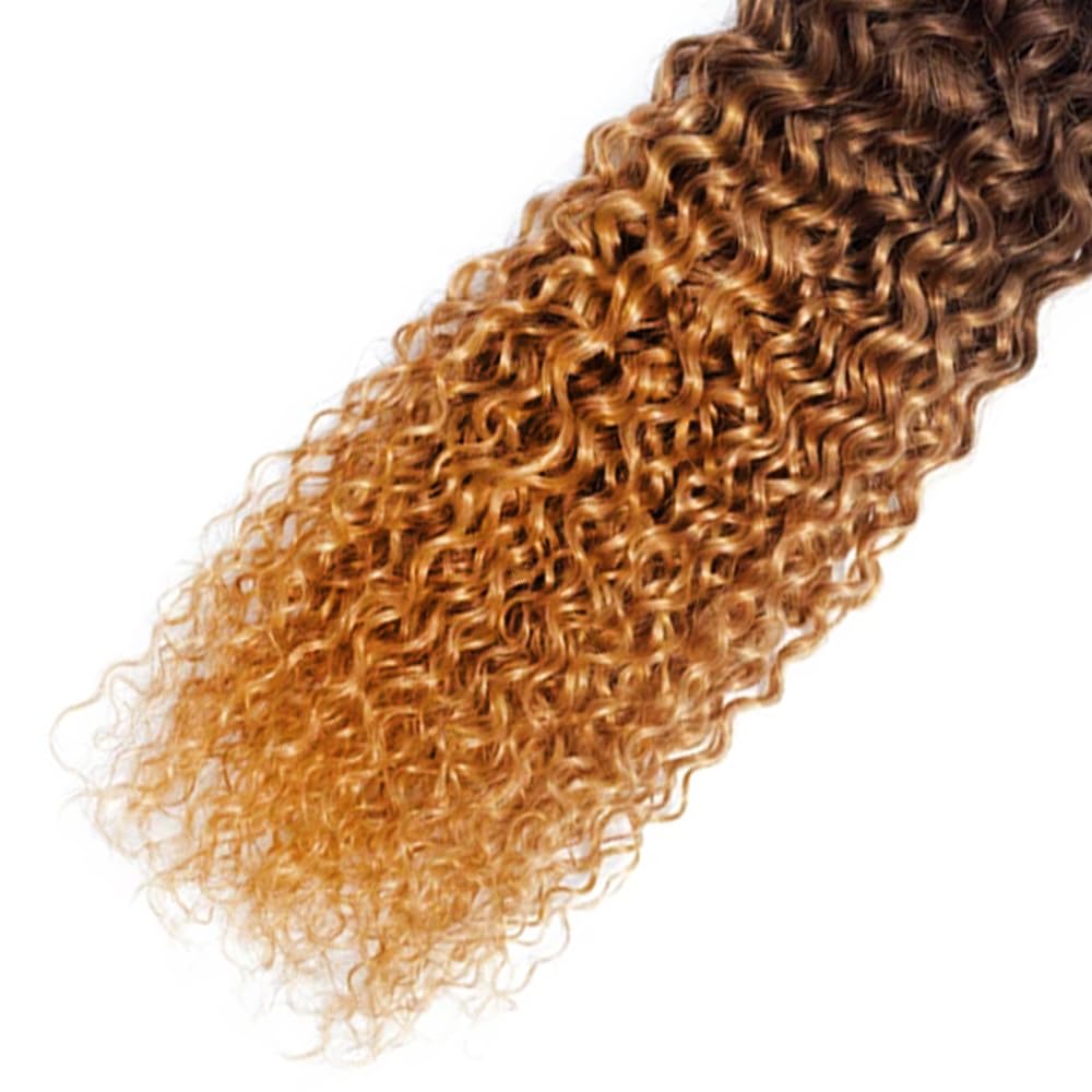 LadrXadr Dark Brown Human Hair Bundles 1b/4/30 Water Wave Bundles #30 Human Hair Bundles 18 20 22 inch Ocean Wave Bundle for Women