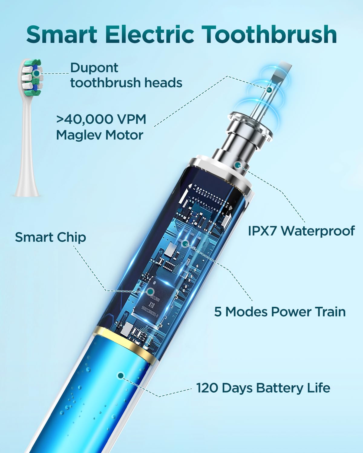 Rtauys S5 Sonic Electric Toothbrush for Adults with 8 Brush Heads, IPX7 Travel Electric Toothbrush with Travel Case, 2.5 Hours Charge for 120 Days, 5 Modes with 2 Minutes Built in Smart Timer Purple