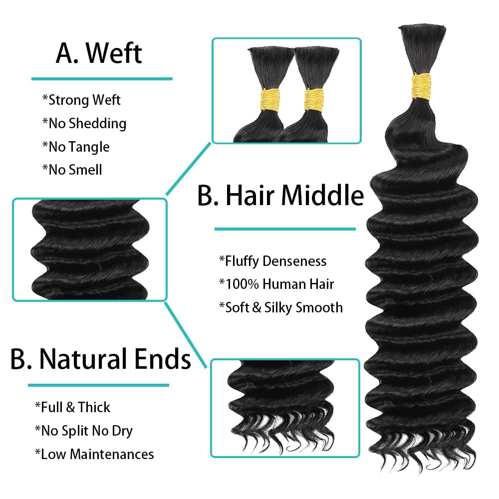 Human Braiding Hair Deep Wave Bulk Human Hair for Braiding 100g 2Bundles/Pack No Weft Curly Braiding Hair Bulk Curly Human Hair for Boho Braids (Natural Black, 28 Inch)