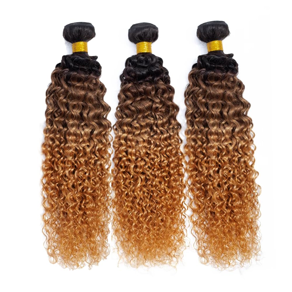 LadrXadr Dark Brown Human Hair Bundles 1b/4/30 Water Wave Bundles #30 Human Hair Bundles 18 20 22 inch Ocean Wave Bundle for Women
