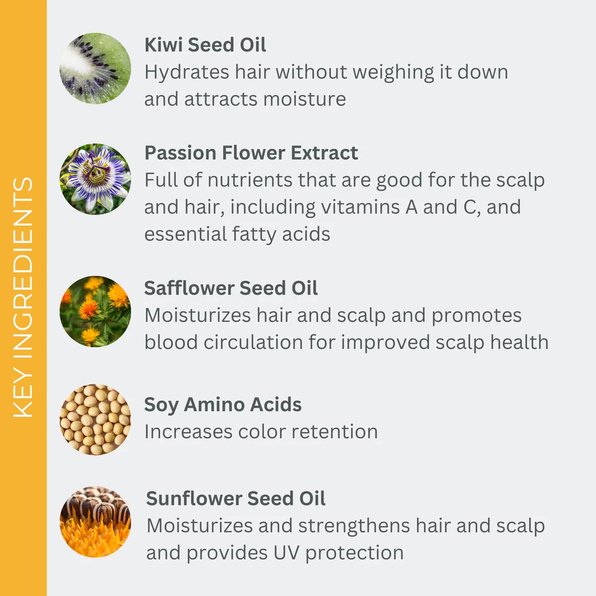 EVOLVh - Natural SmartColor Protecting Shampoo + Conditioner Bundle | Vegan, Non-Toxic, Clean Hair Care (8.5 fl oz | 250 ml)
