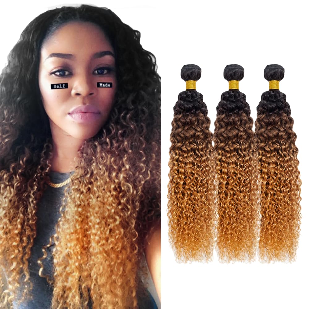 LadrXadr Dark Brown Human Hair Bundles 1b/4/30 Water Wave Bundles #30 Human Hair Bundles 18 20 22 inch Ocean Wave Bundle for Women