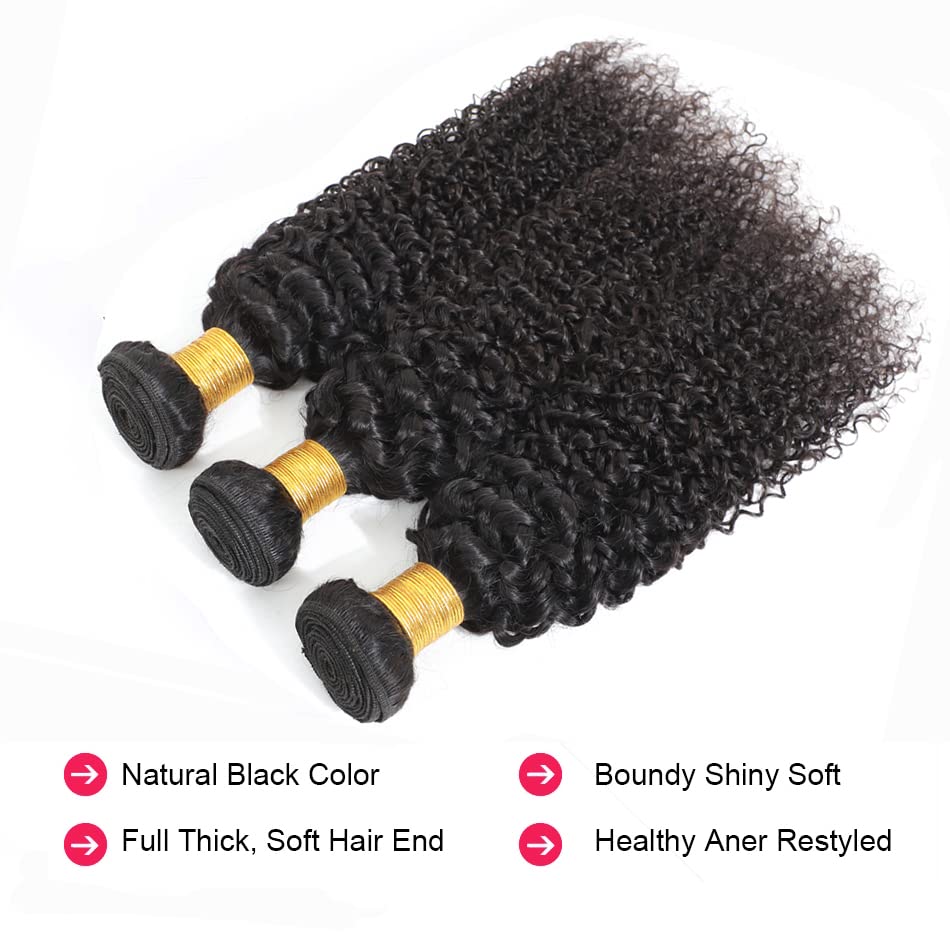 Kinky Curly Bundles Human Hair Bundles Brazilian Curly Hair Bundles 12A Virgin Curly Human Hair Bundles Curly Weave Hair Bundles Natural Black (14 16 18) … …