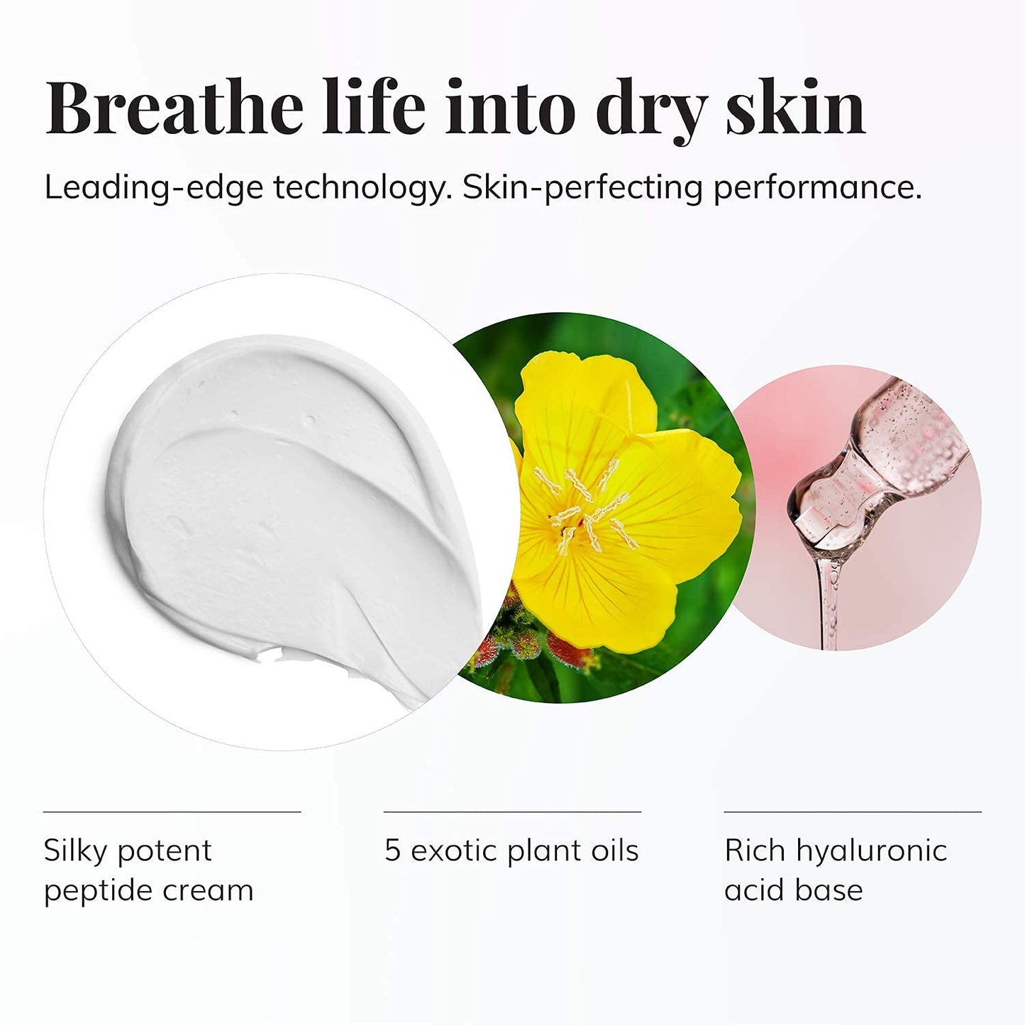 Le Mieux Luxe Facial Skincare Set - Peptide Foam Cleanser + Bio Cell Rejuvenating Cream - 2-Step Cleansing + Moisturizing Set for Face + Neck (2-Piece Set)