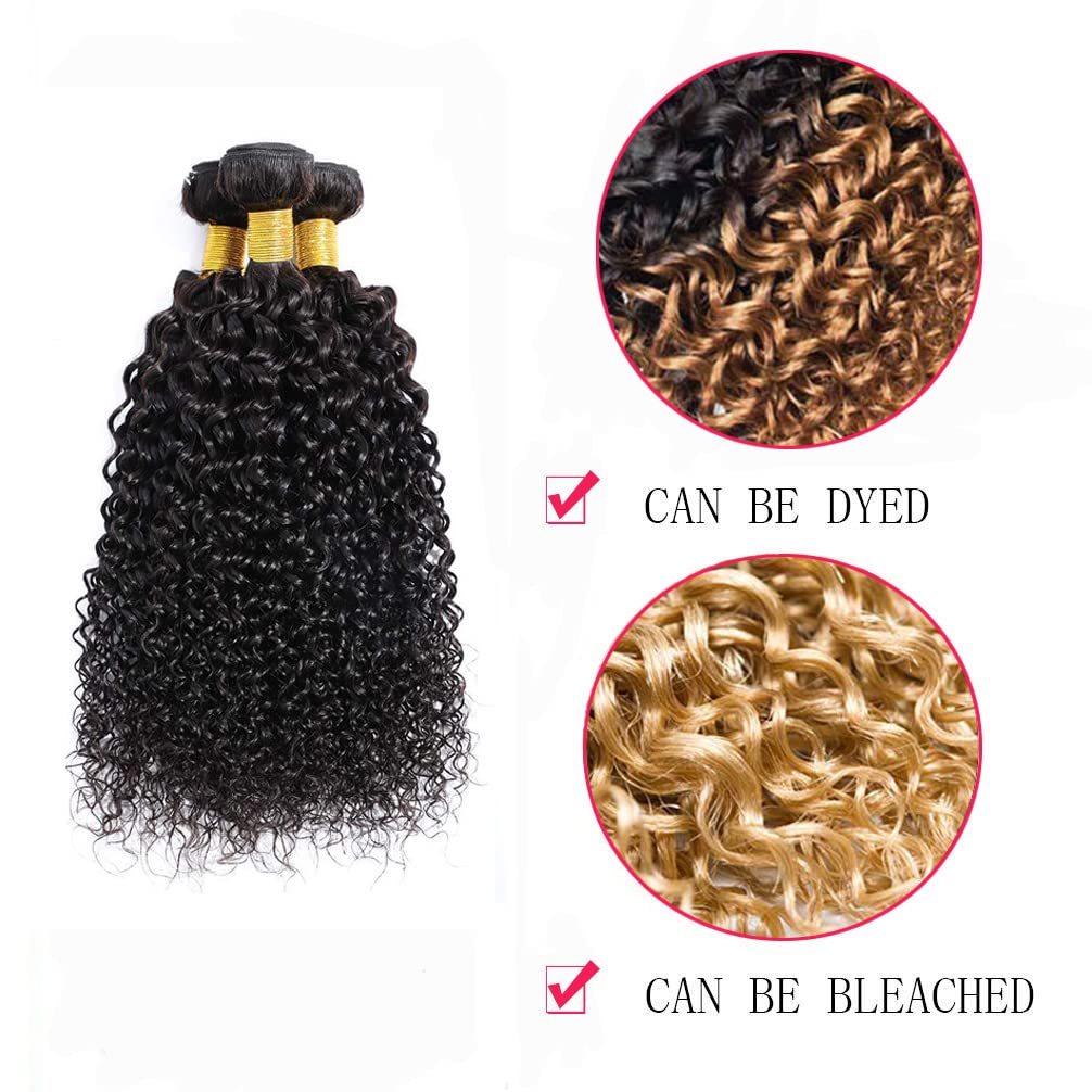 Kinky Curly Bundles Human Hair Bundles Brazilian Curly Hair Bundles 12A Virgin Curly Human Hair Bundles Curly Weave Hair Bundles Natural Black (14 16 18) … …