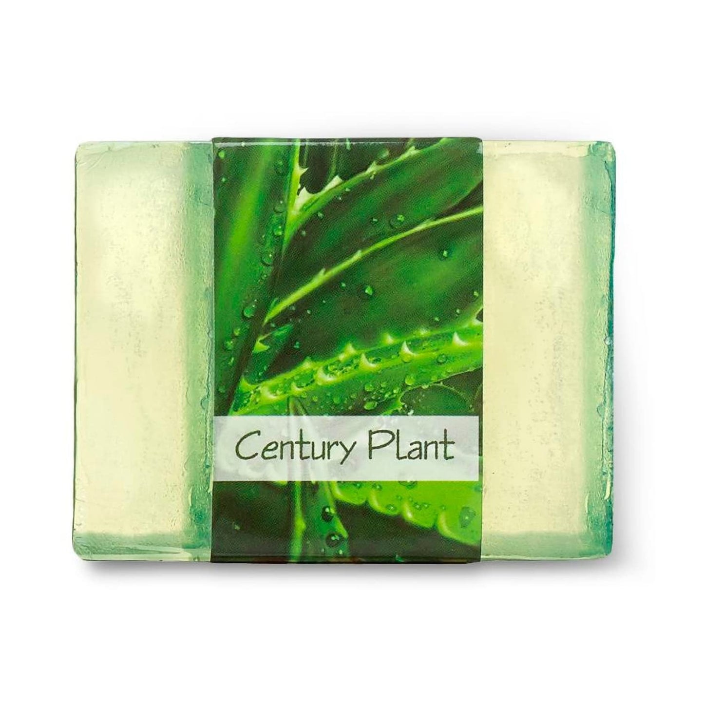 Glycerin Bar Soap Century Plant Scent - Natural, Vegan-Friendly, Hypoallergenic - Moisturizing and Hydrating with 100% Vegetable Glycerin - Sulfate-Free, Paraben-Free, Chemical-Free - 4.5 oz