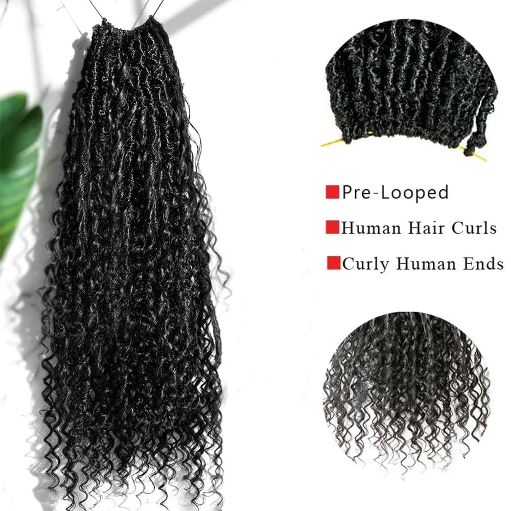 FlowerSeason Pre Crochet Dreadlocks Braids Hair Pre Looped With Human Hair Curls Curly Ends Extensions For Black Women 25 Strands(22 inch)
