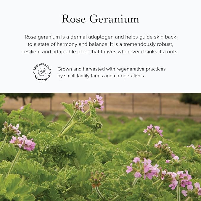 evanhealy Rose Geranium HydroSoul | Copper Distilled Hydrosol | Gentle, Astringent Organic Facial Tonic | Balancing Face Toner for Dry, Oily, Combination, Teen Skin