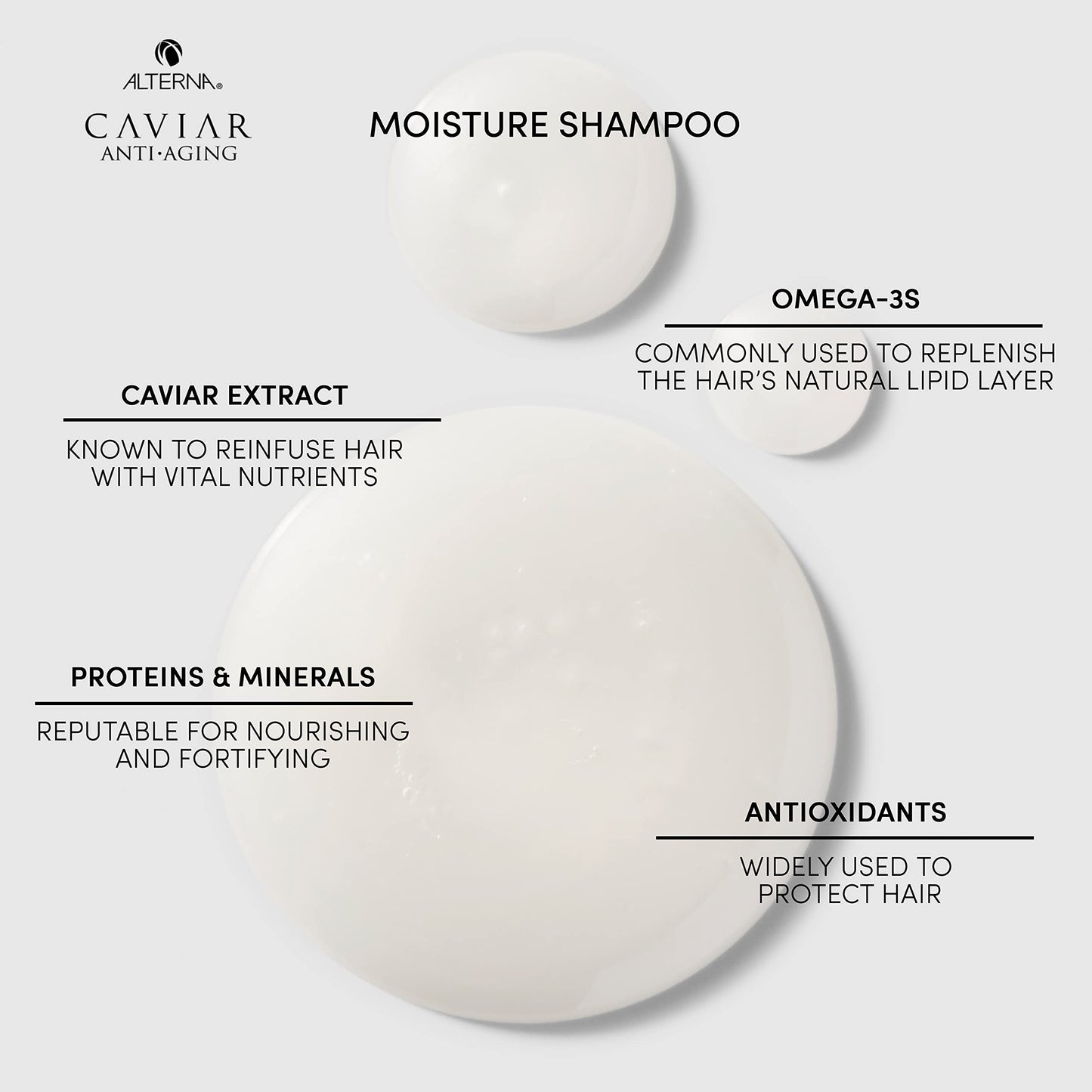 Alterna Haircare CAVIAR Anti Aging Replenishing Moisture Shampoo, 8.5 Fl Oz (Pack of 1)