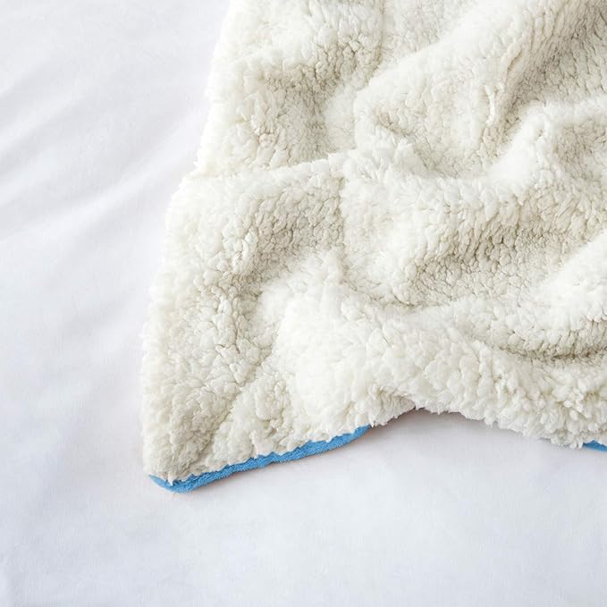 IR Imperial Rooms Light Blue Sherpa Fleece Throw Blanket Twin Size for Bed - Wholesale Bulk Pack of 12 Sherpa Blankets - Soft Fluffy Throw Blankets for Hotels, Guest Bedroom, 60x80 Inches