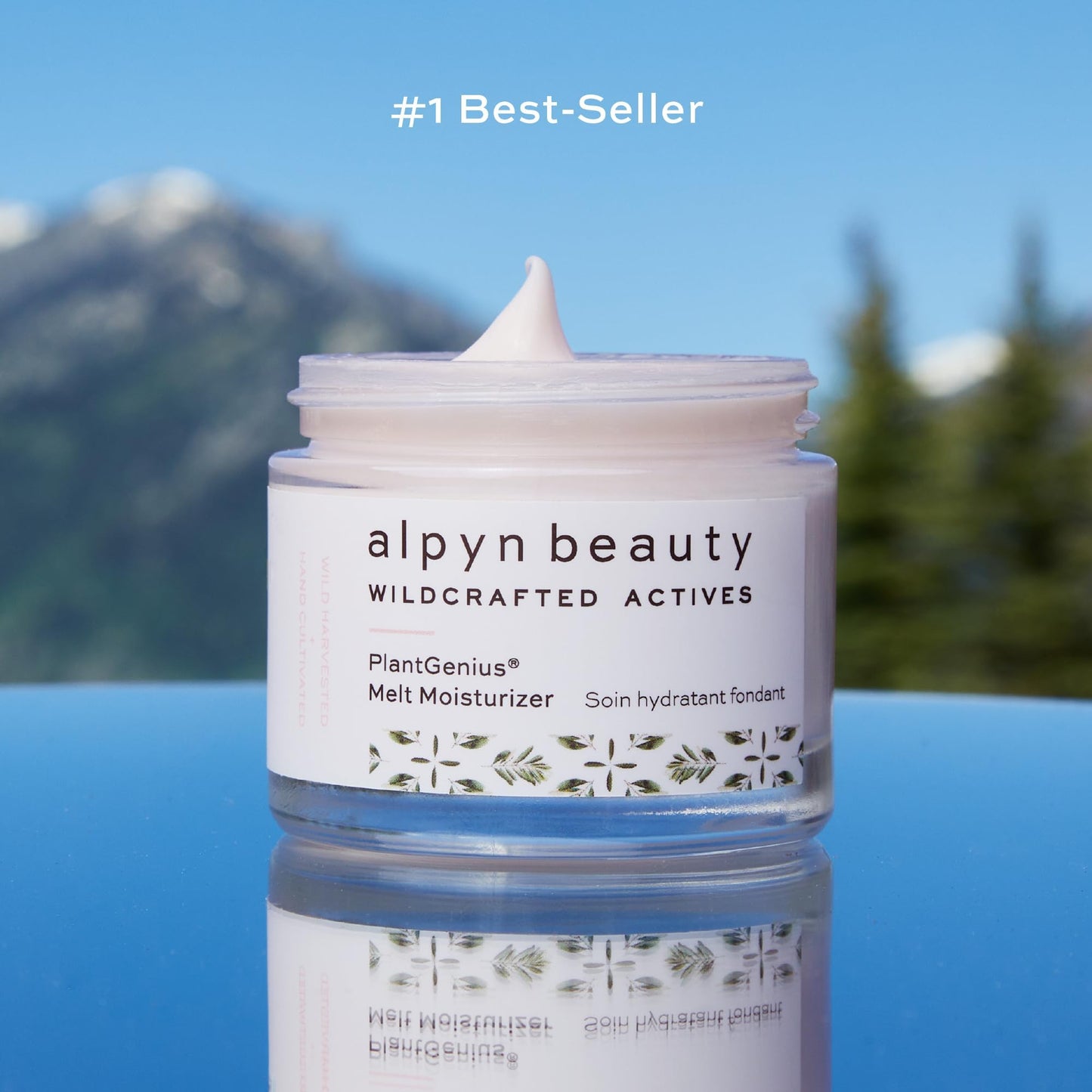 Alpyn Skin + Lip Rescue Set | PlantGenius Melt Moisturizer | Willow & Sweet Agave Plumping Lip Mask