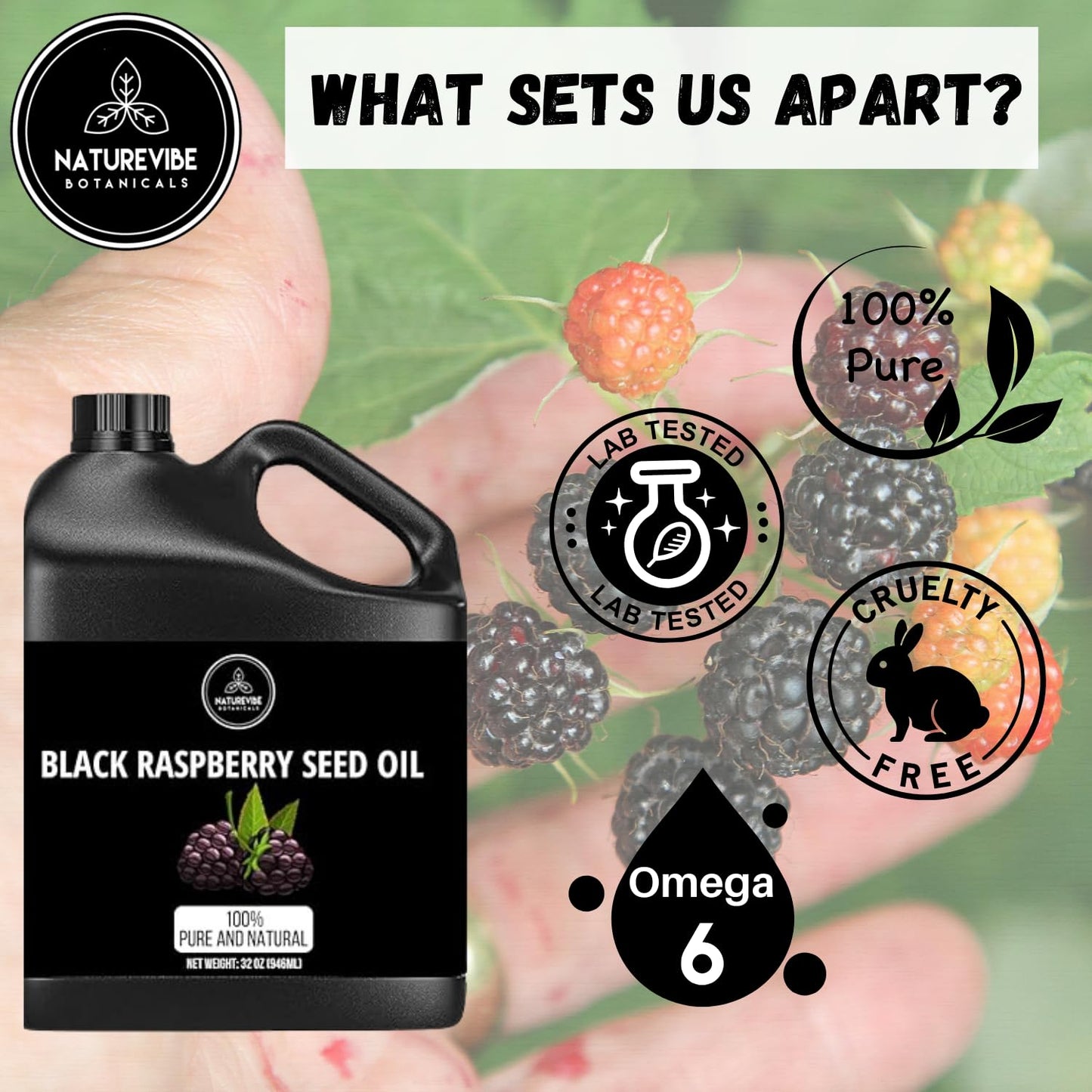 Naturevibe Botanicals Black Raspberry Oil 32 Ounces | 100% Pure and Natural | Great for Skin Care and Hair Care