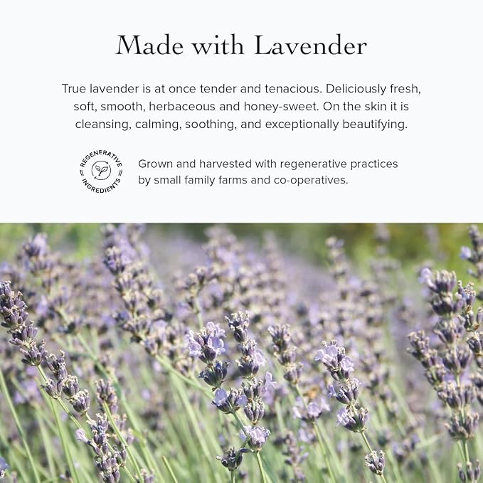 evanhealy Lavender HydroSoul | Copper Distilled Hydrosol | Calms Redness, Soothes Irritated Reactive Skin | Organic Lavender Facial Tonic | Calming Face Toner