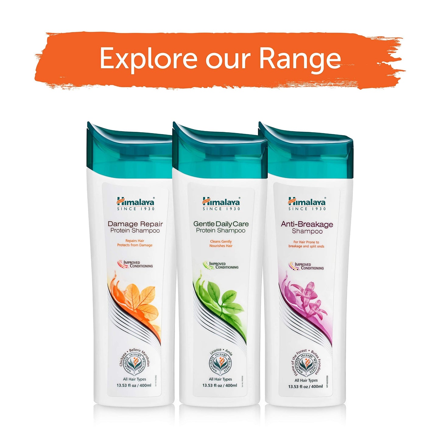 Himalaya Damage Repair Protein Shampoo, 2 Pack (13.53 Fl Oz / 400ml each) for Dry, Frizzy Hair, Repairs and Protects from Damage, Aloe Vera, Sesame Oil, Moisturizing, Unisex