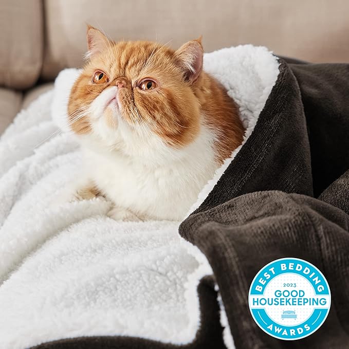 Bedsure Sherpa Fleece Throw Blanket for Couch - Thick and Warm, Soft Fuzzy Plush Throw Blanket for Winter, Brown, 50x60 Inches
