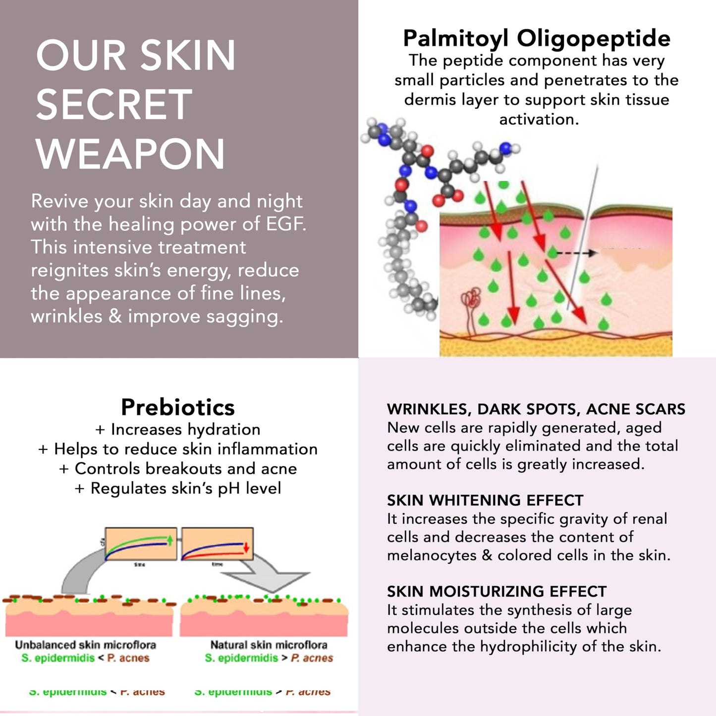 Go Beauty Double EGF Peptides Repairing Serum – with Active Prebiotics, Snail Secretion & Arbutin – for Aging, damaged Skin, Collagen Production & Skin Elasticity – Modern Miracle, 1 fl. oz.