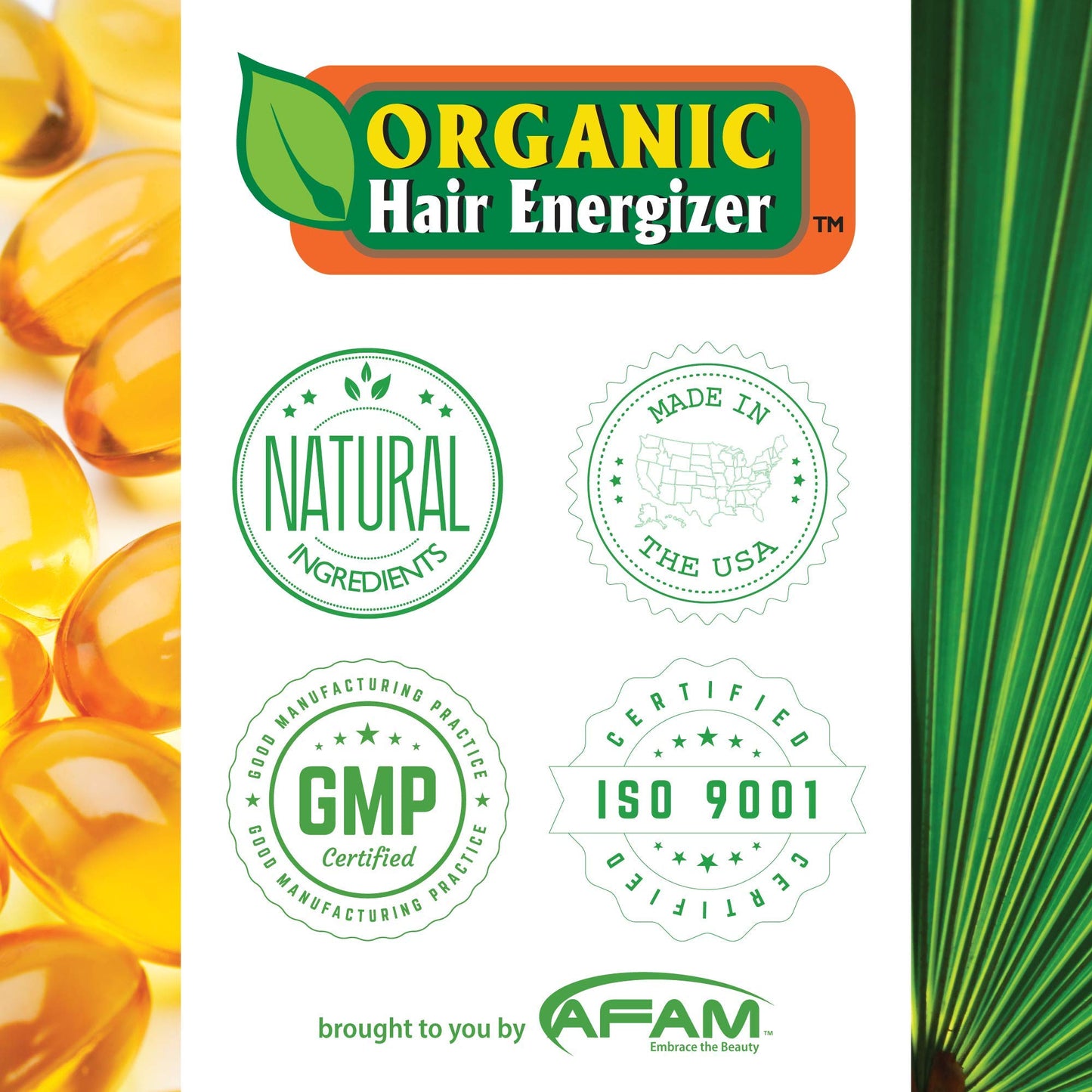 Organic Hair Energizer Pro Vitamin-B5 Hair Growth Booster, 6 fl oz (Pack of 4) DHT-Blocker, Sulfate-Free & Paraben-Free - for Thinning & Receding Hair - Color Safe for Men, Women & Teens