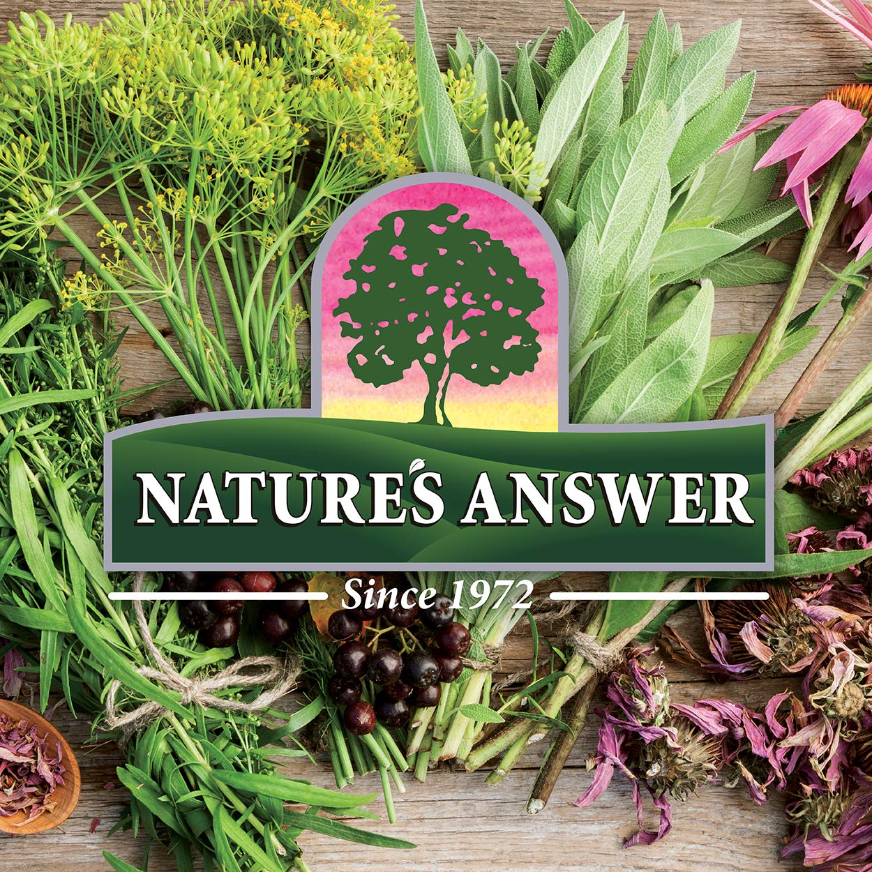 Nature's Answer Periobrite Whitening Toothpaste | Soothes & Refreshes | Gluten-Free, Flouride-Free Soy-Free & Vegetarian | Not Tested On Animals | No Artificial Sweetners or Preservatives 4oz