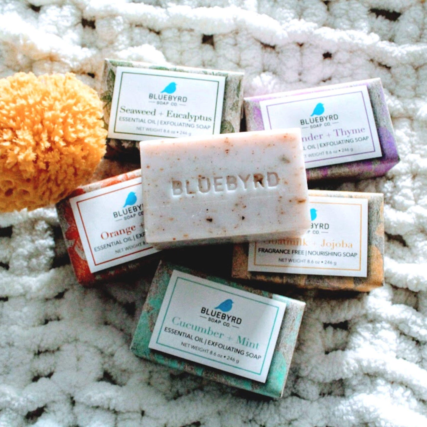 BLUEBYRD Orange & Clove Large Exfoliating Soap Bars, 100% Vegan Cold Press, Premium Scented Essential Oils, Natural Cleansing Body Scrub for Men or Women w/ Oatmeal, Olive, & Shea Butter, 8.6oz