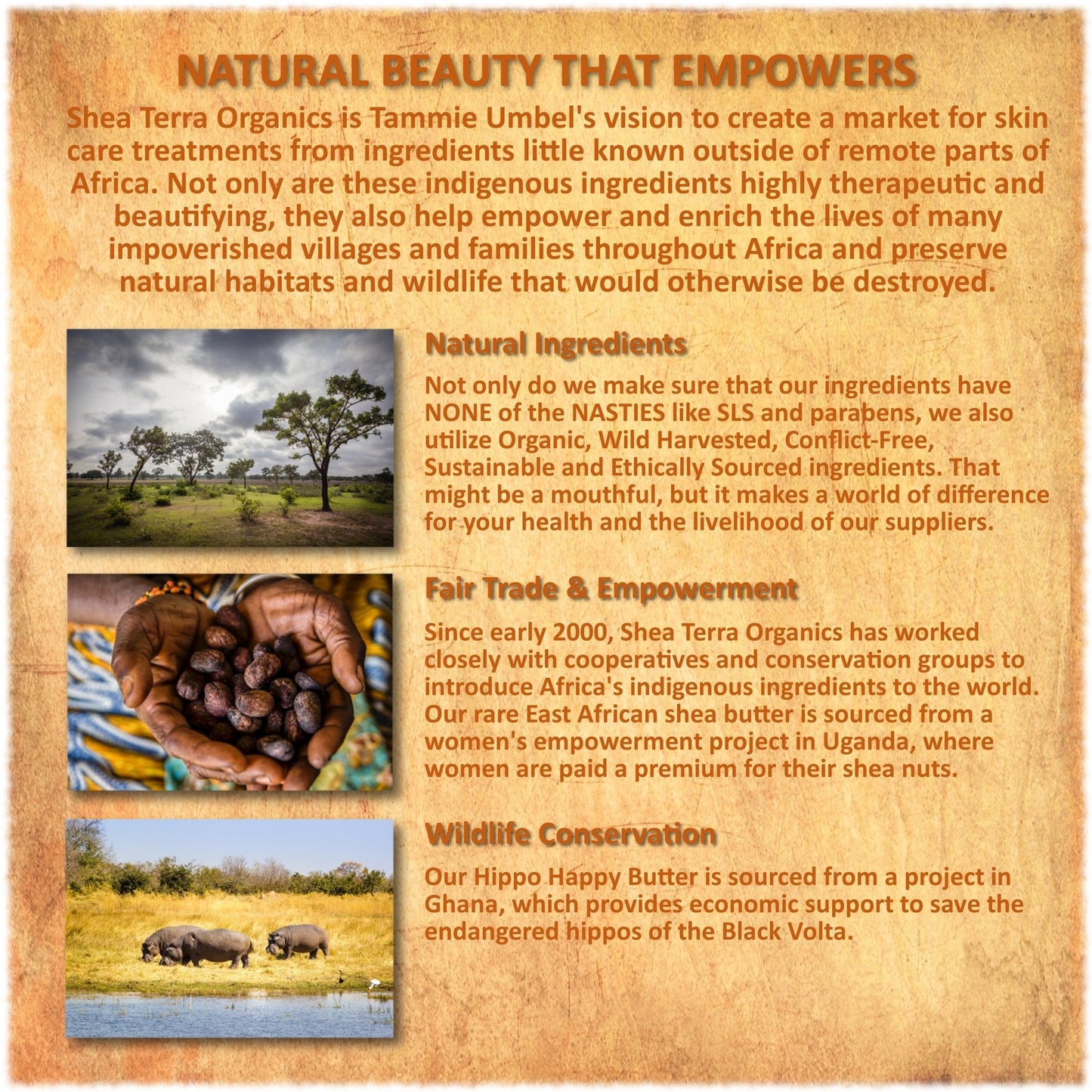 Shea Terra Organics Rose Hips & Pink Clay Facial Cleansing Soap | Anti-Aging, Anti-Acne Wonder Soap | All Skin Types - 4 oz