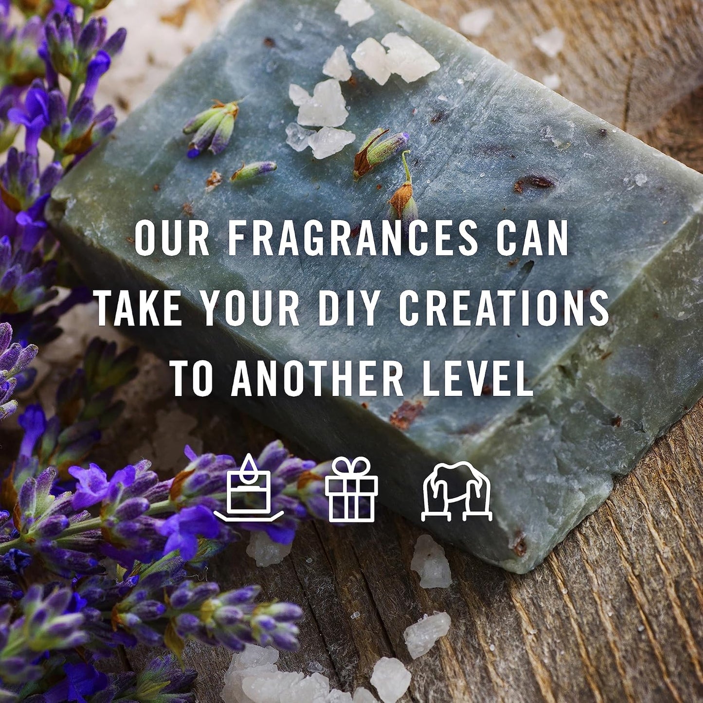 P&J Trading Fragrance Oil Ladies Set | Pearberry, Lavender, Warm Vanilla Sugar, Plumeria, Magnolia, Wisteria Candle Scents for Candle Making, Freshie Scent, Soap Making Supplies, Diffuser Oil Scents